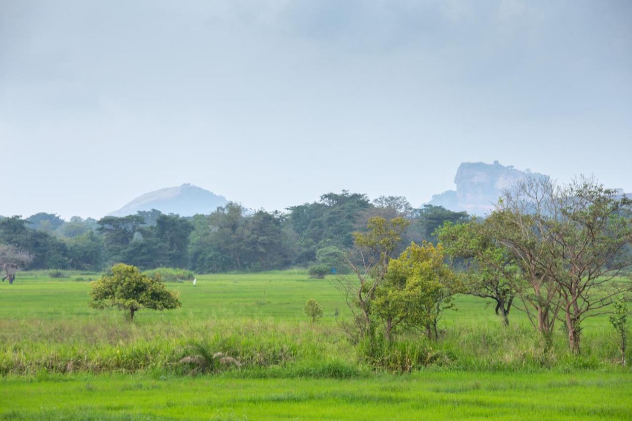 The Hideout Sigiriya Villa Kültér fotó