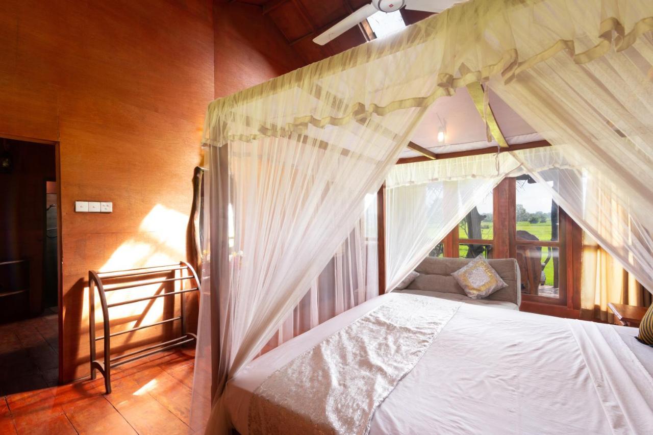 The Hideout Sigiriya Villa Kültér fotó