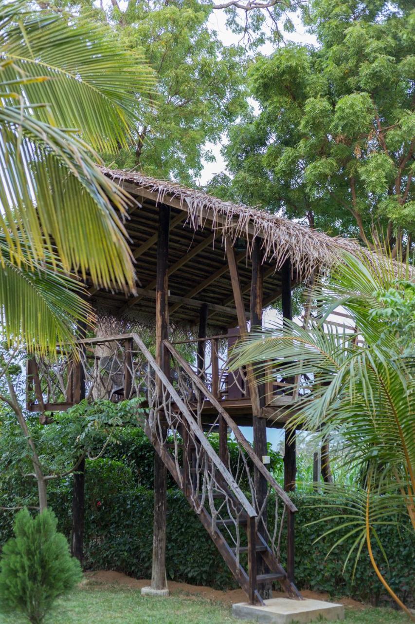 The Hideout Sigiriya Villa Kültér fotó