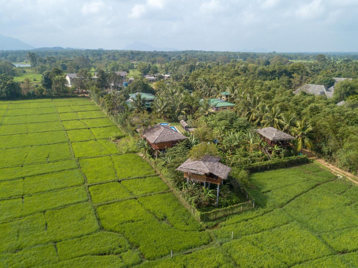 The Hideout Sigiriya Villa Kültér fotó